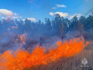 Огонь бушевал среди могил: Пожар на кладбище