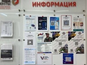 С региональным и муниципальным инвестиционными стандартами может ознакомиться каждый 