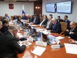 Участие молодежных организаций в жизни страны обсудили в Совете Федерации