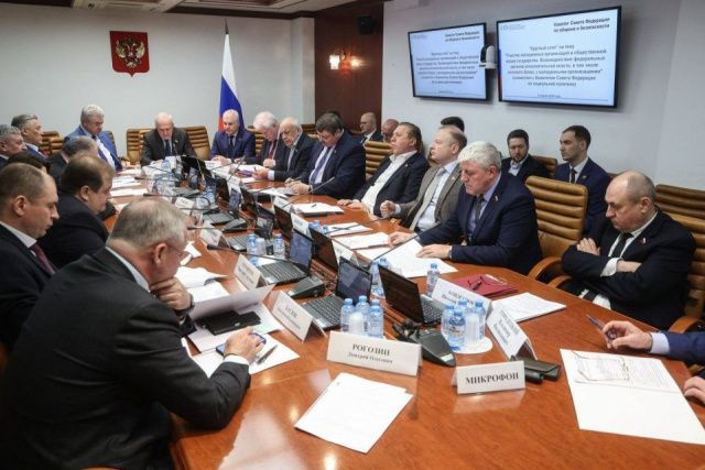 Участие молодежных организаций в жизни страны обсудили в Совете Федерации