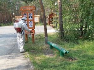 МУП «Жилкомсервис» провел очередную дезинфекцию городского парка