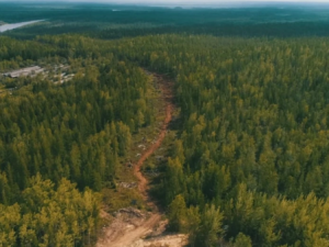 Порядка 5,7 миллиарда рублей направят на охрану лесов от пожаров в Якутии в 2025 году