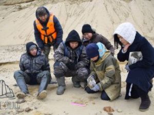 Зуб мамонта и фрагмент черепа ископаемого бизона обнаружили участники школьной экспедиции «Эллэйаада» на Тукулунах