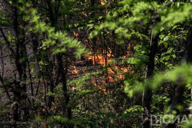 Семь лесных пожаров ликвидировали за сутки в Якутии