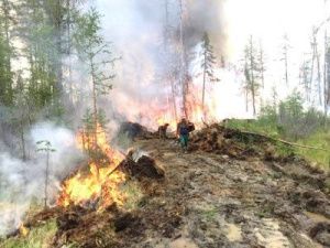 В Хангаласском улусе действуют 2 лесных пожара