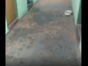 Прокуратура проверила жалобы заключенных исправительной колонии в Мохсоголлохе