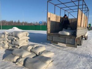 Год развития семейной экономики. Хангаласских семей снабжают зернофуражем