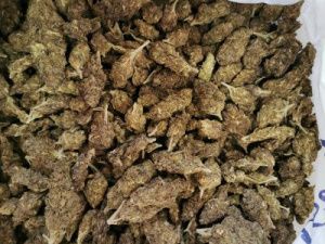 В Якутске изъято свыше 2,5 килограммов растительных наркотиков