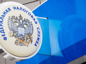 Фиксированные страховые взносы за 2025 год необходимо уплатить не позднее 29 декабря