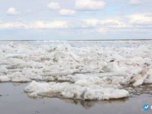 30 тонн взрывчатки подготовят для ликвидации заторов на реках во время паводка в Якутии