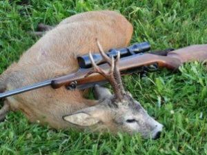 В Якутии браконьеру предъявили иск на 320 тысяч рублей за двух косуль