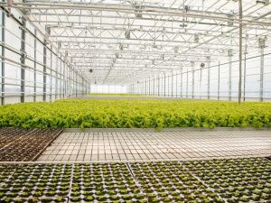 ВЭФ-2024: За все годы участия в форуме Якутией подписаны соглашения на общую сумму свыше 900 млрд рублей