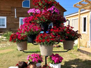 Молодой сварщик из Мегино-Кангаласского района получил 500 тысяч рублей по соцконтракту