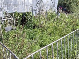 Контроль за работами, ровные ряды и благоустройство территории: что изменится на кладбищах Якутска