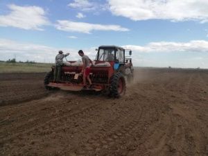 В Якутске подвели итоги посевной кампании в крестьянских хозяйствах