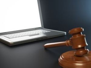 Тексты НПА, включённые в эталонный банк данных правовой информации, признаны официальными