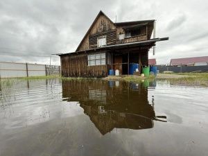 ЧС в Якутии: аномальные дожди затопили Сунтарский улус, урожай потерян безвозвратно
