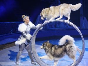 В Якутске прошла елка главы Якутии