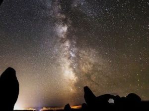 Гороскоп на 1 февраля 2023 года для всех Знаков Зодиака