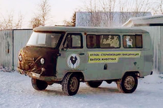 За неделю в Якутске поймали более 50 бездомных собак