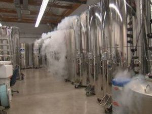 Правительство Якутии попросили рассмотреть вопрос создания криохранилища