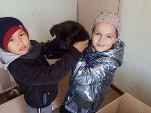 Школьники Якутска посетили пункт передержки безнадзорных животных и запустили акцию «Puppy challenge»