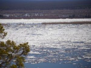 Осторожно - паводок!