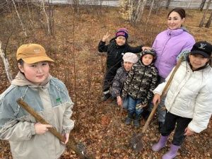 В Якутии объявлены итоги Республиканской семейной экологической акции «Посади семейное дерево»