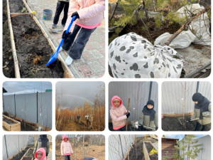 В Якутии объявлены итоги Республиканской семейной экологической акции «Посади семейное дерево»