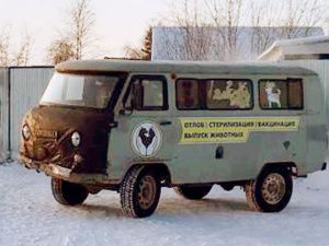 За неделю в Якутске поймали более 50 бездомных собак