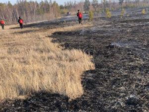Пожар возле села Владимировка ликвидирован