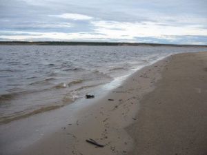 Сотрудники транспортной полиции провели рейд в Жатае