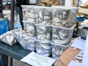 Море рыбы: Традиционная ярмарка развернулась на Комсомольской площади