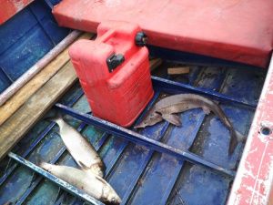 В Якутии задержали пятерых рыбаков-браконьеров