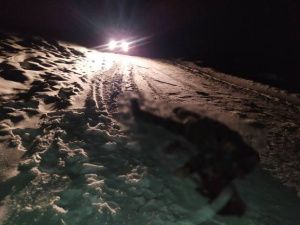 Вердикт присяжных: Бездушный убийца не заслуживает снисхождения