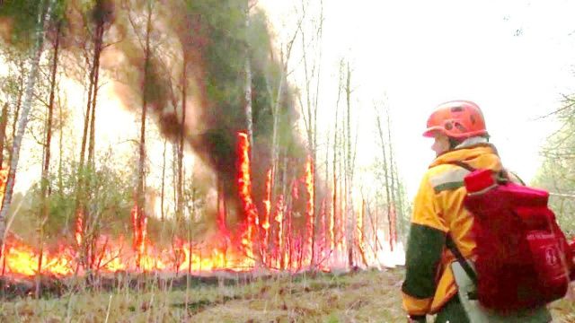 Федштаб обратил внимание Якутии на несвоевременное предоставление данных о лесных пожарах в республике и недопустимость снижения сил и средств, задействованных в борьбе с огнем