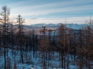 Мастер-план позволит создать образцовый поселок при крупнейшем в России месторождении коксующегося угля