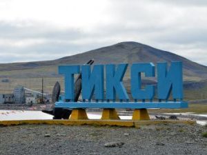 В Тикси идут поиски белого медведя, замеченного рядом с посёлком