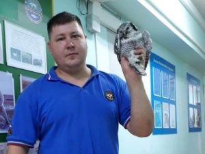 В Якутске обнаружили ослабленную сову