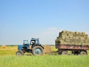 Депутаты Гордумы рассмотрели ход реализации плана по заготовке сена