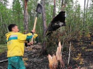 Минэкологии Якутии рассказало о ситуации с лесными пожарами на территории республики