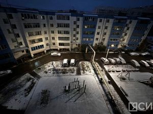 Пока в Якутии была ночь: поражение Харрис, новая мошенническая схема, вирус Коксаки в регионах РФ