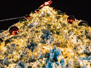 Фоторепортаж. Главная ёлка Якутии