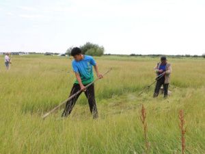 В Хангаласском улусе прошли соревнования сенокосчиков