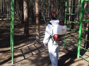 В Якутске продезинфицировали свыше 2 млн кв. метров общественных пространств