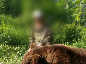 Ликвидирован медведь, промышлявший на свалке