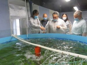 Якутские школьники будут питаться форелью и осетром