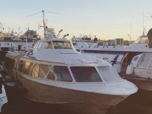 Авксентьева готовит греческий салат, а Федоров — соус к строганине. Команда мэрии празднует победу (видео)