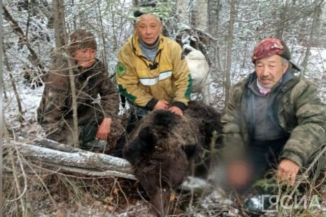 В Усть-Майском районе Якутии охотники ликвидировали медведя-людоеда