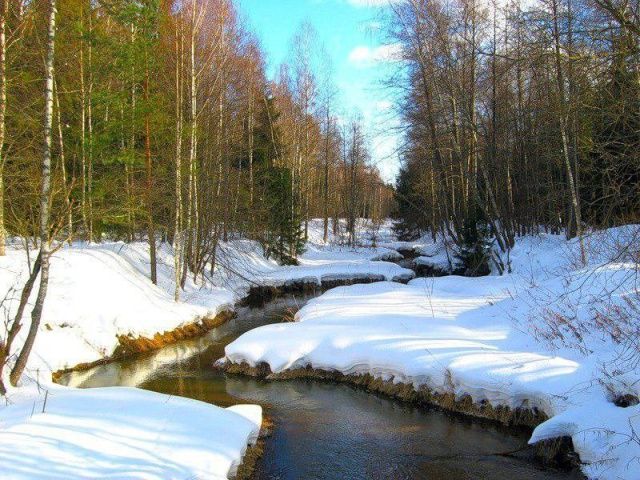 В Якутии коневод отправился на поиски лошадей и пропал без вести
